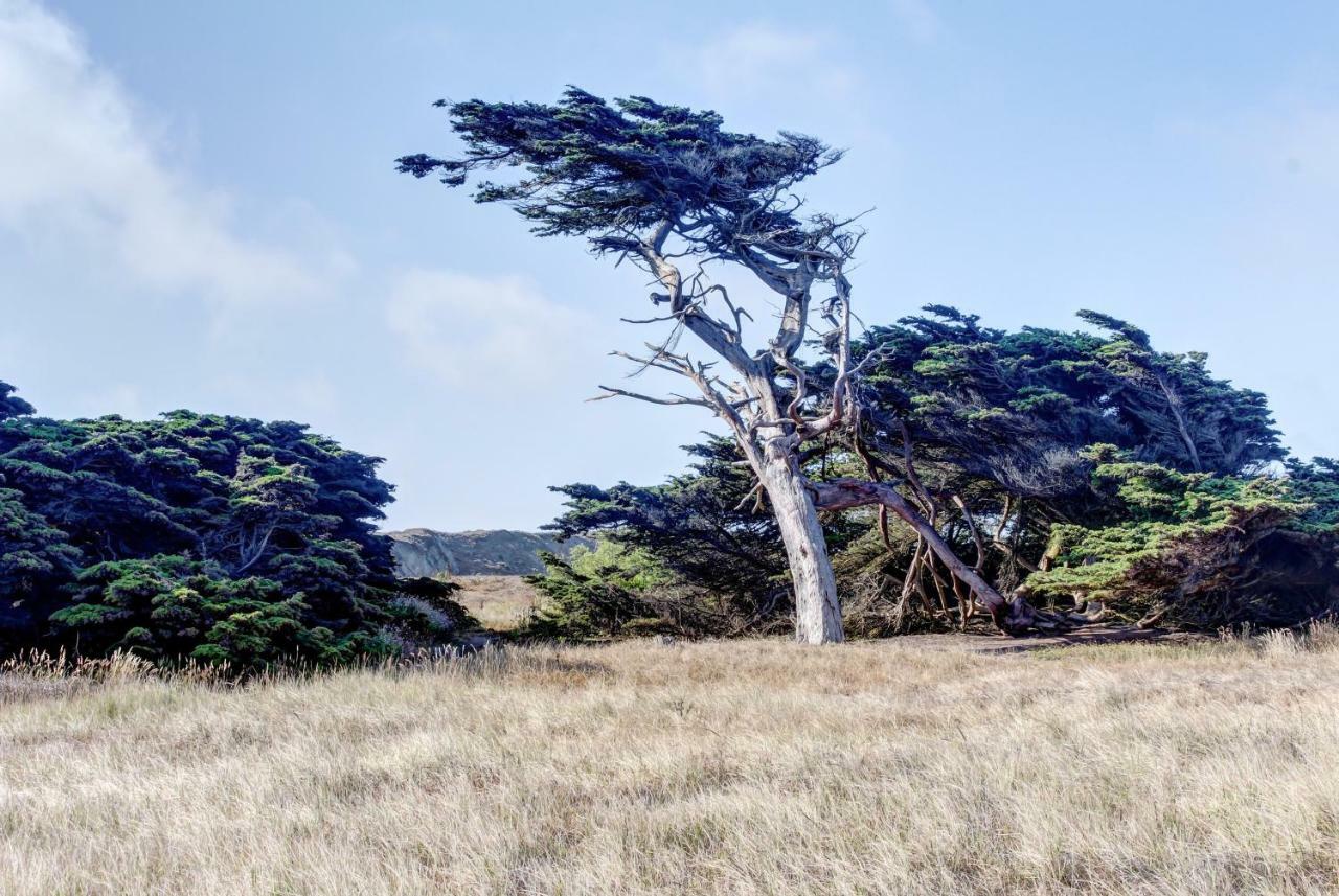 Bayside Cottage Bodega Bay Zewnętrze zdjęcie